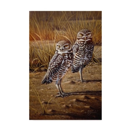 Wilhelm Goebel 'Burrowing Owls' Canvas Art,30x47